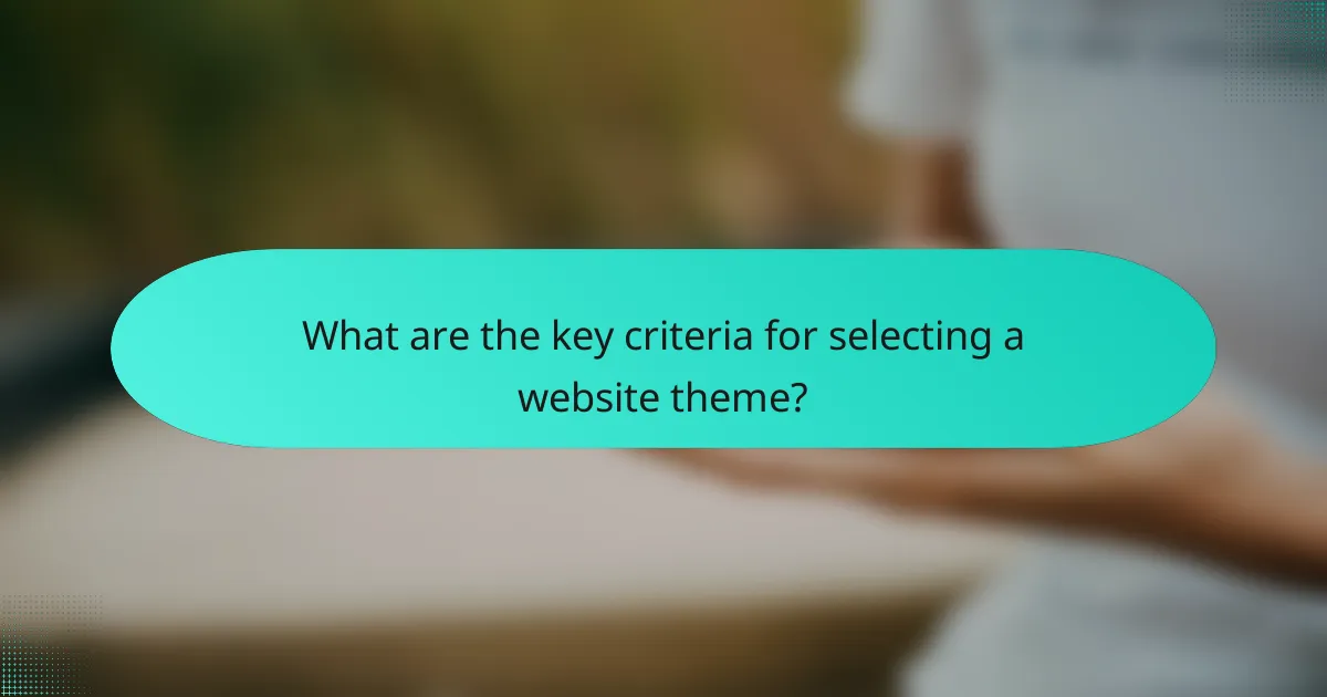 What are the key criteria for selecting a website theme?