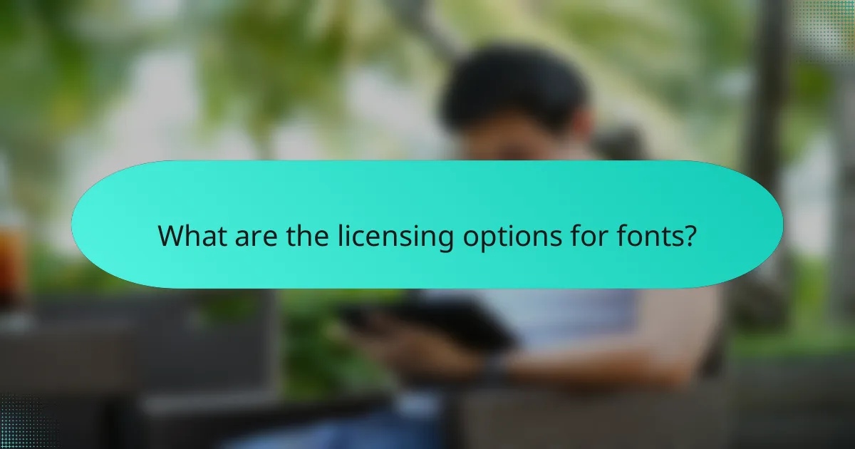 What are the licensing options for fonts?