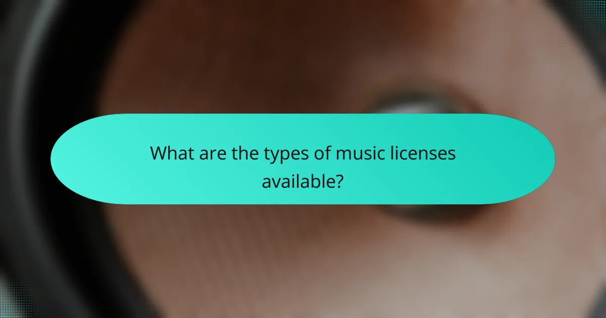 What are the types of music licenses available?